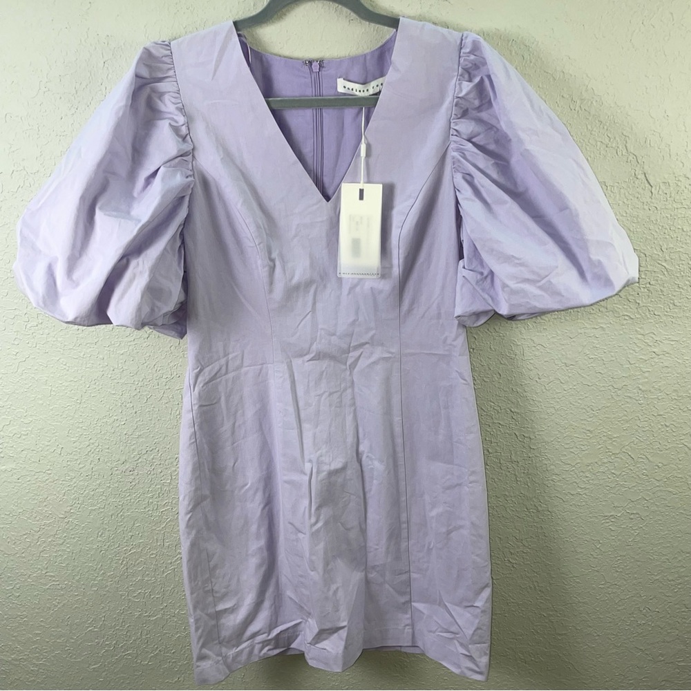 Endless Rose Puff Sleeve Dress